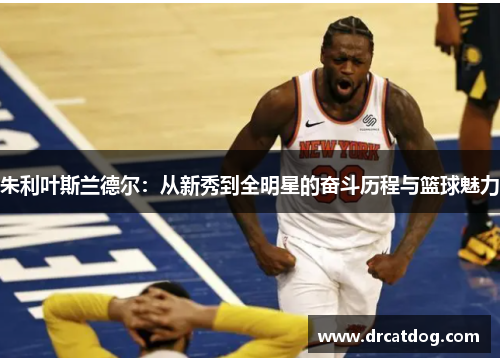 朱利叶斯兰德尔：从新秀到全明星的奋斗历程与篮球魅力