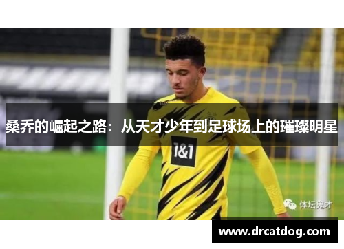 桑乔的崛起之路：从天才少年到足球场上的璀璨明星