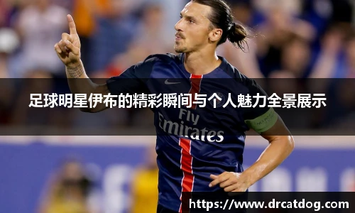 足球明星伊布的精彩瞬间与个人魅力全景展示